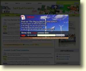 WebSite: Self sufficiency and sustainability